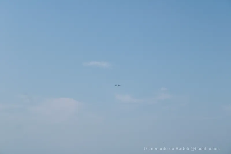 20240727133126_IMG_2570 (1)